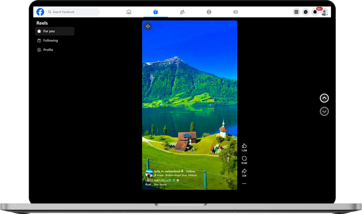 The downloader open in a browser with a link pasted